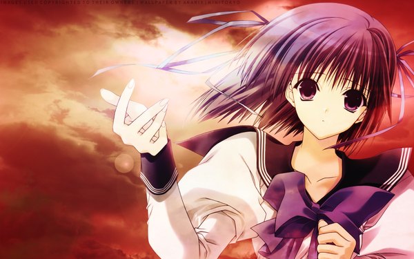 Anime picture 1920x1200 with original suzuhira hiro looking at viewer highres short hair wide image purple eyes purple hair cloud (clouds) wind wallpaper evening sunset orange background girl uniform ribbon (ribbons) hair ribbon school uniform bowtie