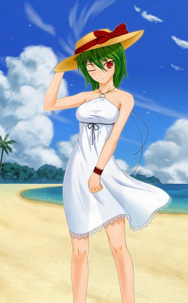 Anime picture 1307x2100 with touhou kazami yuuka midnight (artist) single tall image short hair cloud (clouds) one eye closed green hair wink beach see-through silhouette girl hat sundress