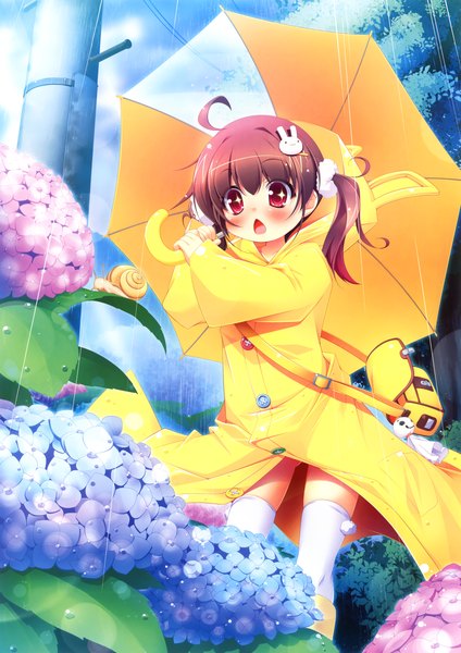 Anime picture 3247x4599 with original eshi 100-nin ten kuwada yuuki single long hair tall image blush highres open mouth red eyes brown hair twintails absurdres ahoge loli rain girl thighhighs hair ornament flower (flowers)