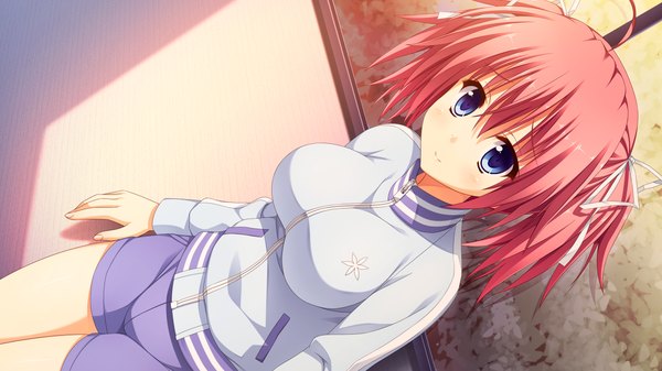 Anime picture 1280x720 with koishiki manual suzuka aki saeki nao single looking at viewer blush short hair breasts blue eyes smile wide image large breasts twintails game cg ahoge red hair sunlight against wall girl uniform