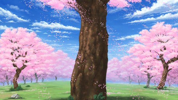 Anime picture 2560x1440 with shirogane otome kamiya tomoe highres wide image game cg sky cloud (clouds) cherry blossoms landscape plant (plants) petals tree (trees)