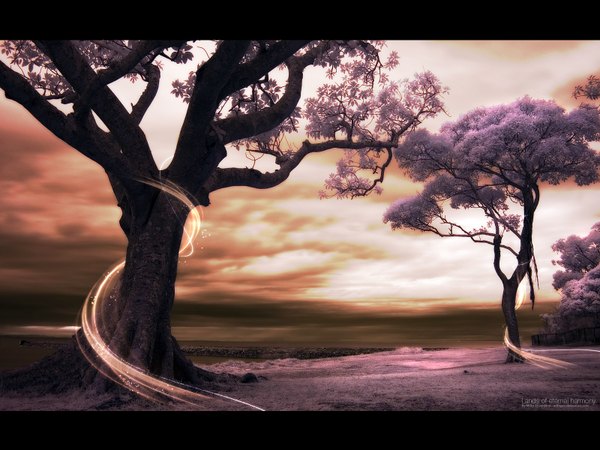 Аниме картинка 1600x1200 с оригинальное изображение uribaani небо облако (облака) солнечный свет надпись без людей пейзаж растение (растения) дерево (деревья)
