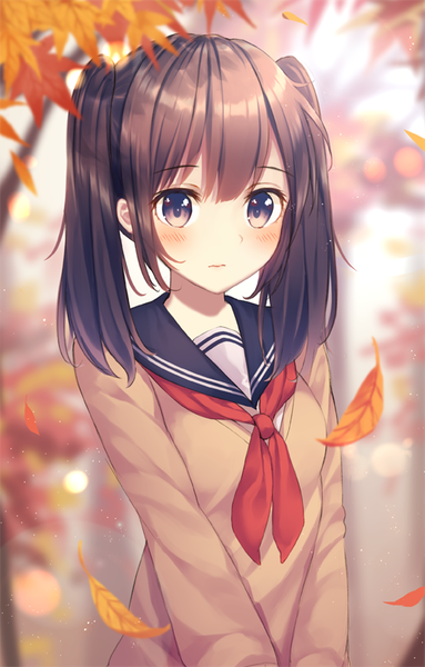 Anime picture 511x800 with original kawami nami single long hair tall image looking at viewer blush fringe brown hair twintails purple eyes outdoors sunlight sailor collar autumn girl uniform serafuku leaf (leaves) autumn leaves