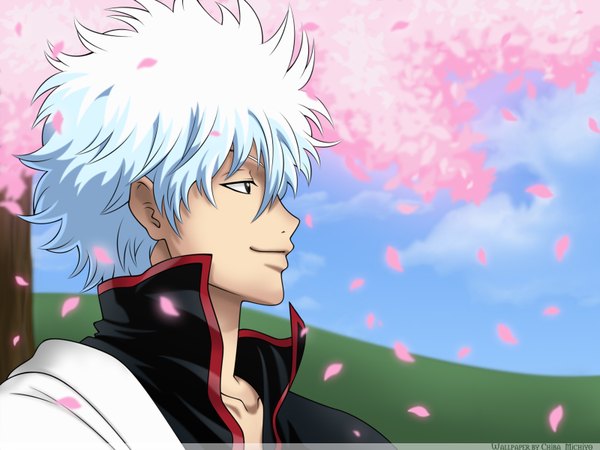 Anime picture 1600x1200 with gintama sunrise (studio) sakata gintoki single short hair smile signed silver hair profile wallpaper cherry blossoms vector curly hair boy petals