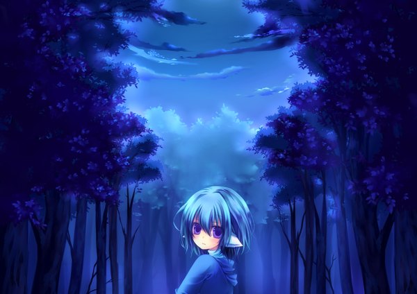 Anime picture 1657x1172 with original konno kengo looking at viewer blush short hair purple eyes animal ears blue hair sky looking back cat ears night landscape scenic girl plant (plants) tree (trees) forest