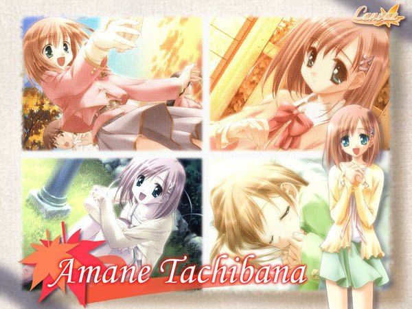 Anime picture 1024x768 with canvas (anime) tachibana amane short hair open mouth brown hair green eyes eyes closed :d copyright name character names multiview sleeping girl boy skirt hair ornament x hair ornament green skirt pole