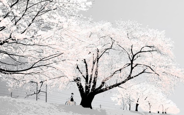 Anime picture 1440x900 with emukami single short hair black hair wide image black eyes wallpaper cherry blossoms landscape girl dress plant (plants) tree (trees) black dress ground vehicle power lines bicycle