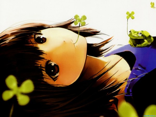 Anime picture 1600x1200 with original nauribon single looking at viewer highres short hair brown eyes girl frog clover (plant)