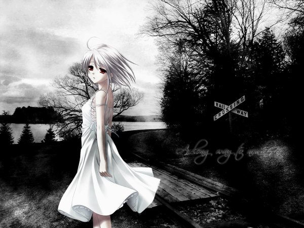 Anime picture 1280x960 with white clarity red eyes sky white hair wind monochrome landscape river railroad crossing girl dress plant (plants) tree (trees) white dress forest traffic sign railways railroad tracks