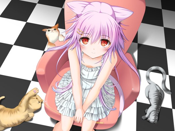 Anime picture 2800x2100 with original moeki yuuta single long hair blush highres red eyes sitting animal ears pink hair from above cat ears cat girl cat tail checkered floor girl dress white dress cat chair