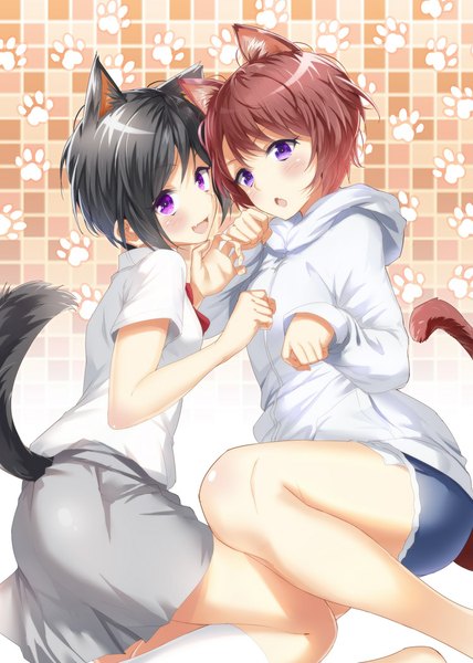 Anime picture 750x1050 with aldnoah.zero a-1 pictures rayet areash amifumi inko heirou tall image blush short hair open mouth black hair brown hair purple eyes multiple girls animal ears tail animal tail girl skirt 2 girls shirt