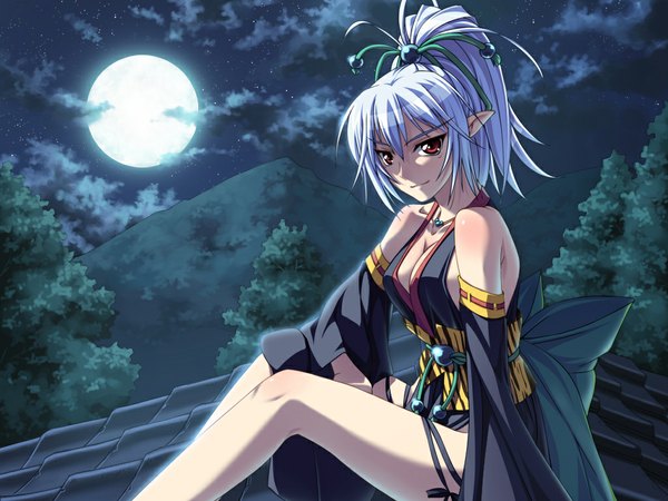 Anime picture 1024x768 with hime to majin to koi suru tamashii single long hair red eyes game cg white hair pointy ears girl plant (plants) tree (trees) moon roof