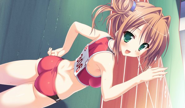 Anime picture 2048x1200 with princess evangile sagisawa chiho saeki nao blush highres short hair open mouth light erotic brown hair wide image green eyes game cg ass girl uniform gym uniform