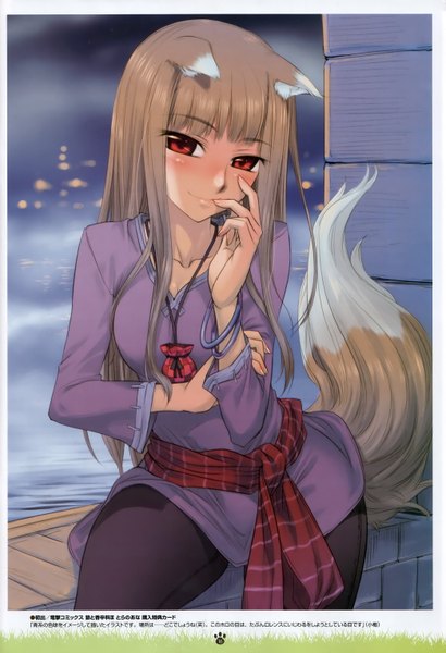 Anime picture 2087x3056 with spice and wolf horo single long hair tall image blush fringe highres breasts red eyes sitting animal ears tail night finger to mouth wolf ears wolf tail wolf girl girl pantyhose