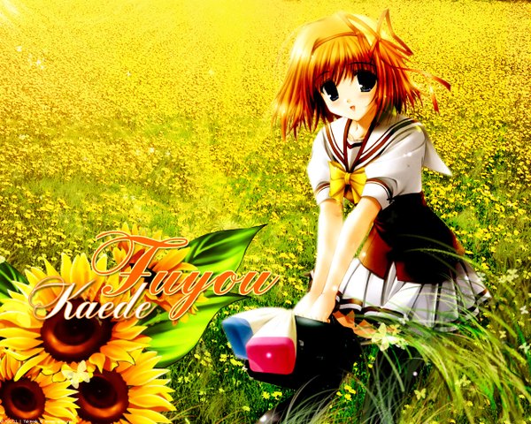 Anime picture 1280x1024 with shuffle! fuyou kaede sakaki maki single photo background girl