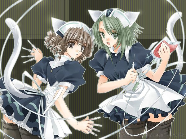 Anime picture 1024x768 with tagme (artist) animal ears tail cat ears cat tail zettai ryouiki drill hair nurse thighhighs blood cross syringe intravenous drip blood bag