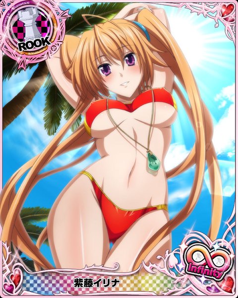 Anime picture 640x800 with highschool dxd shidou irina single tall image looking at viewer blush breasts light erotic brown hair purple eyes twintails very long hair card (medium) girl navel swimsuit plant (plants) bikini tree (trees) pendant