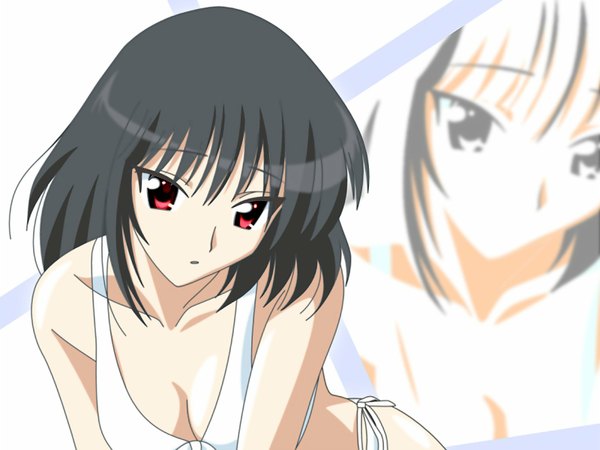 Anime picture 1600x1200 with school rumble tsukamoto yakumo black hair red eyes zoom layer girl