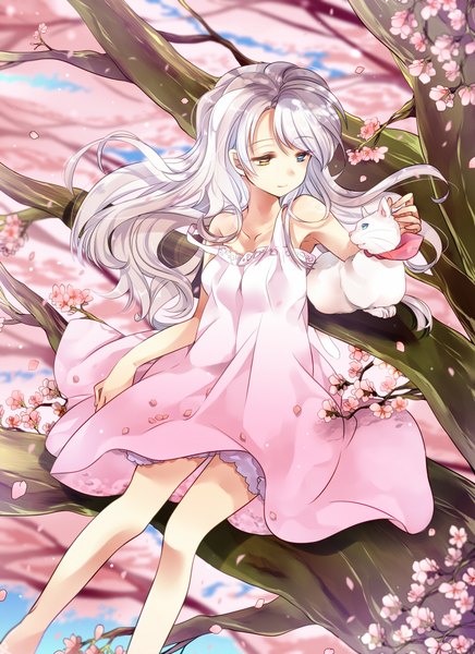 Anime picture 750x1032 with original mihara youzora single long hair tall image fringe sitting bare shoulders looking away silver hair light smile wind blurry bare legs depth of field heterochromia cherry blossoms strap slip eye contact headpat