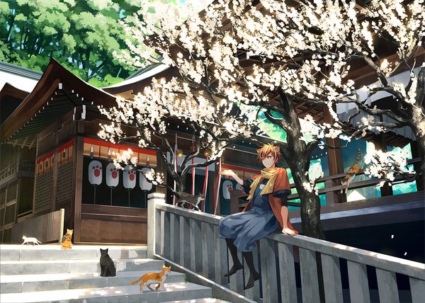 Anime picture 1024x732 with original toti (pixiv) single short hair brown hair sitting traditional clothes japanese clothes architecture east asian architecture boy plant (plants) animal tree (trees) scarf cat stairs japanese house