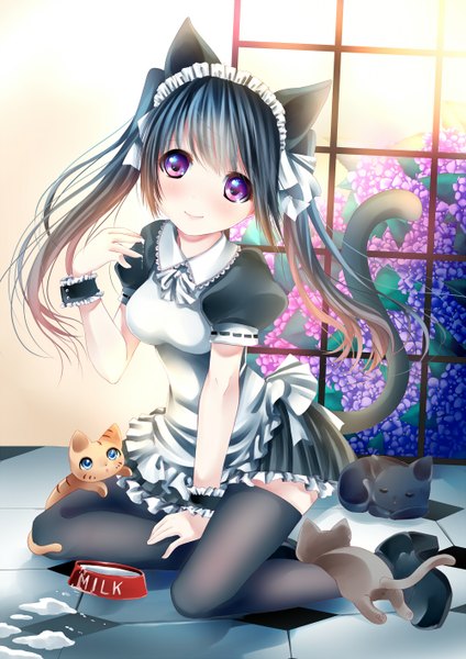 Anime picture 1000x1414 with original kenneos single long hair tall image looking at viewer blush fringe breasts blue eyes smile sitting purple eyes twintails animal ears full body bent knee (knees) indoors tail head tilt