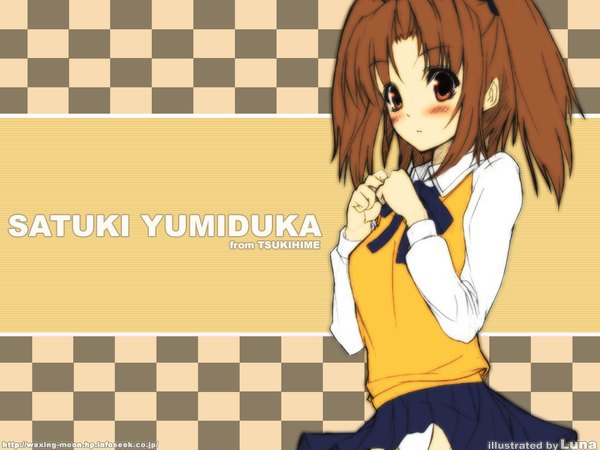 Anime picture 1024x768 with shingetsutan tsukihime type-moon yumizuka satsuki tagme