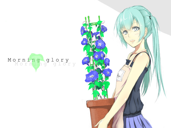 Anime picture 1600x1200 with vocaloid hatsune miku erise single long hair looking at viewer blush open mouth twintails aqua hair grey eyes girl skirt flower (flowers) plant (plants) apron camisole morning glory