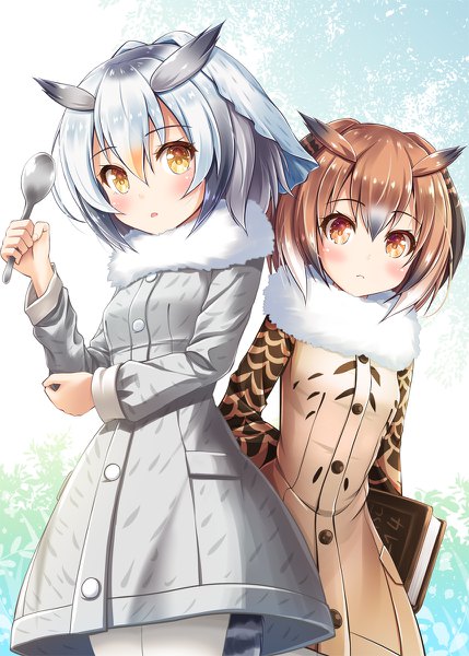 Anime picture 858x1200 with kemono friends northern white-faced owl (kemono friends) eurasian eagle owl (kemono friends) akashio (loli ace) tall image looking at viewer blush fringe short hair open mouth hair between eyes brown hair standing multiple girls holding brown eyes silver hair tail animal tail arm up