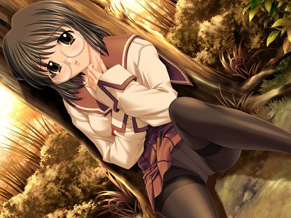 Anime picture 1024x768 with harem days (game) single looking at viewer short hair light erotic black hair green eyes game cg outdoors dutch angle pantyshot pantyshot sitting against tree girl underwear panties plant (plants) pantyhose tree (trees) glasses