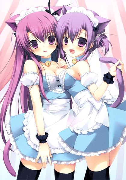 Anime picture 4243x6080 with miyasaka miyu long hair tall image looking at viewer blush fringe highres short hair open mouth light erotic hair between eyes purple eyes multiple girls animal ears pink hair absurdres cleavage purple hair ahoge tail