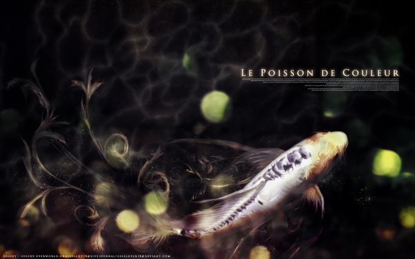 Anime picture 1280x800 with wide image fish (fishes) koi le poisson de couleur