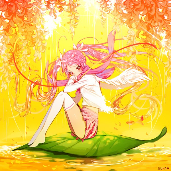 Anime picture 1000x1000 with original sorolp single long hair looking at viewer red eyes sitting twintails pink hair braid (braids) sunlight arm support no shoes turning head angel wings sunbeam girl thighhighs skirt flower (flowers)