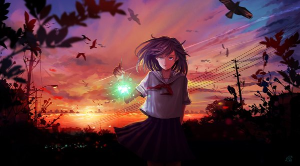 Anime picture 2200x1222 with original mikan (artist) single highres short hair blue eyes wide image standing pleated skirt light smile wind evening sunset horizon dark hair girl skirt uniform animal serafuku