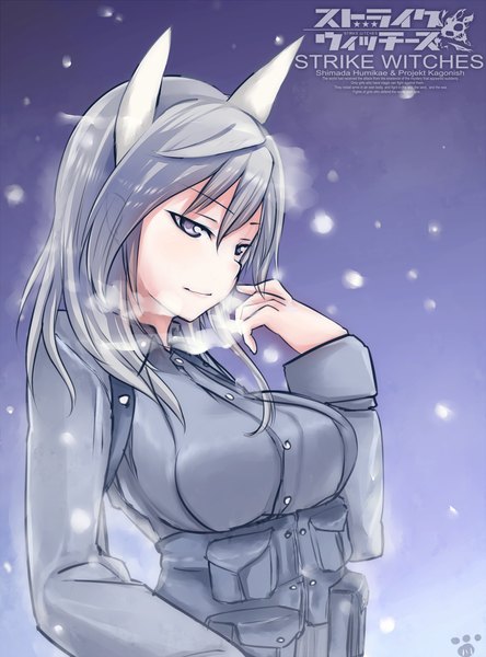Anime picture 1000x1350 with strike witches aurora e juutilainen single long hair tall image breasts smile animal ears silver hair copyright name gradient background paw print girl uniform