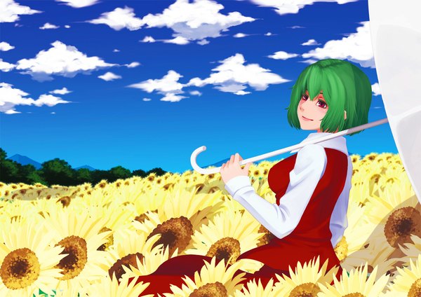 Anime picture 1169x827 with touhou kazami yuuka yuuten single short hair smile red eyes sky cloud (clouds) green hair field girl flower (flowers) umbrella sunflower