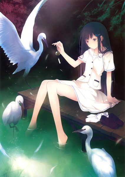 Anime picture 3250x4601 with original ruroo single long hair tall image highres black hair sitting absurdres black eyes girl skirt hair ornament miniskirt animal water hairclip bird (birds)