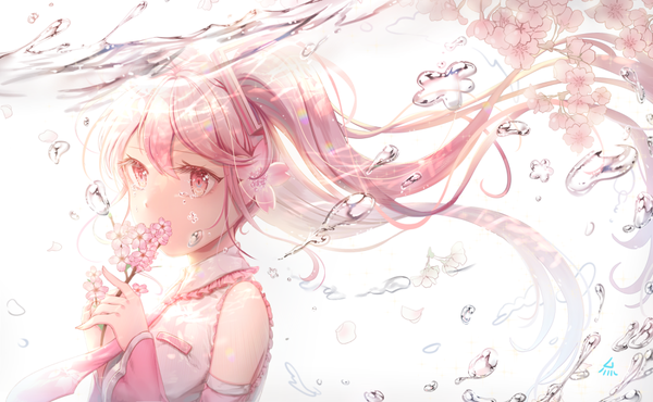 Anime picture 1000x617 with vocaloid hatsune miku sakura miku ozzingo single long hair fringe simple background hair between eyes wide image white background twintails holding looking away pink hair pink eyes hair flower from above floating hair cherry blossoms