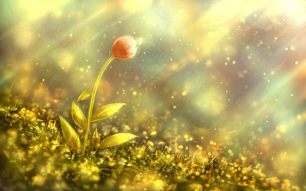 Anime picture 1152x720 with original bounin outdoors sunlight lens flare no people landscape sunbeam shiny nature dust flower (flowers) plant (plants) leaf (leaves) insect butterfly grass