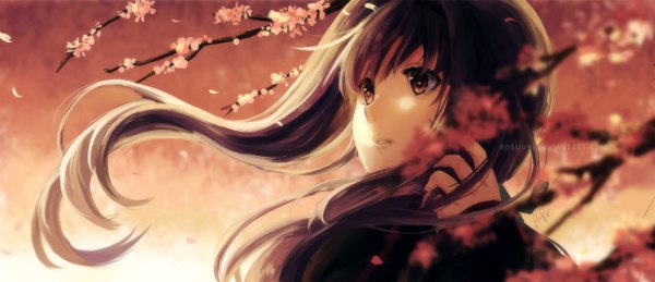 Anime picture 1300x562 with rosuuri single long hair fringe wide image brown eyes wind cherry blossoms dark hair soft beauty girl plant (plants) petals tree (trees)