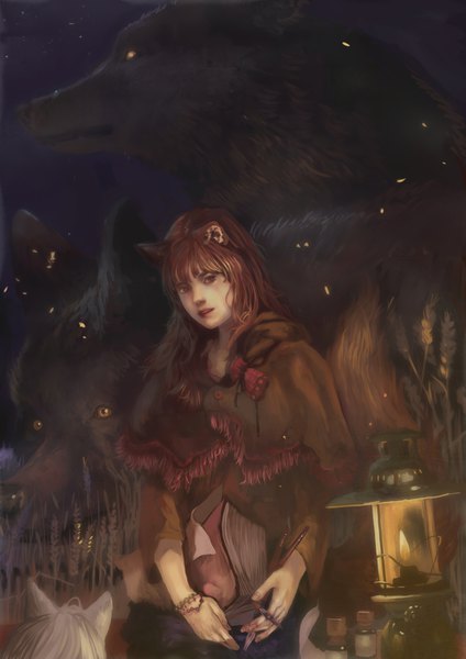 Anime picture 1600x2262 with spice and wolf horo myuri (spice and wolf) divedog long hair tall image looking at viewer fringe red eyes brown hair multiple girls animal ears silver hair tail animal tail light smile realistic night glowing light