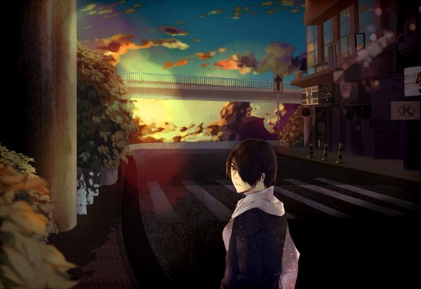 Anime picture 1700x1169 with nico nico singer nico nico douga pointfive(.5) mi-chan (pointfive) haritama (artist) single fringe highres short hair black hair sky looking back from behind hair over one eye evening sunset cityscape boy plant (plants) scarf
