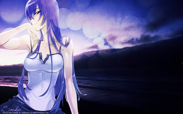 Anime picture 1440x900 with highschool of the dead madhouse busujima saeko single long hair blue eyes wide image purple hair light smile girl water