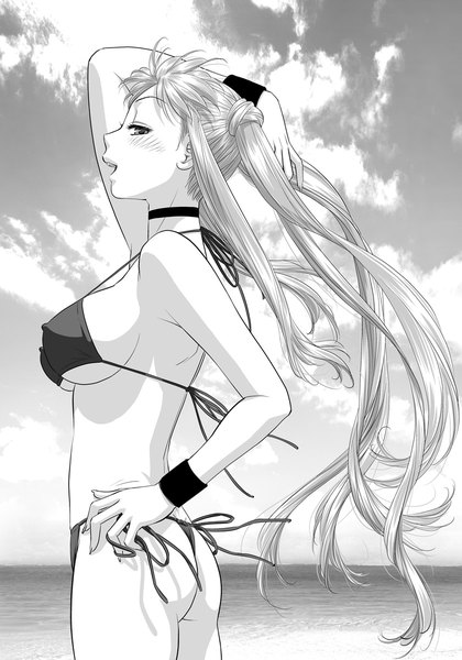 Anime picture 841x1200 with original toshiki yui long hair tall image blush breasts open mouth light erotic twintails sky cloud (clouds) profile grey hair grey eyes erect nipples monochrome covered nipples girl underwear panties