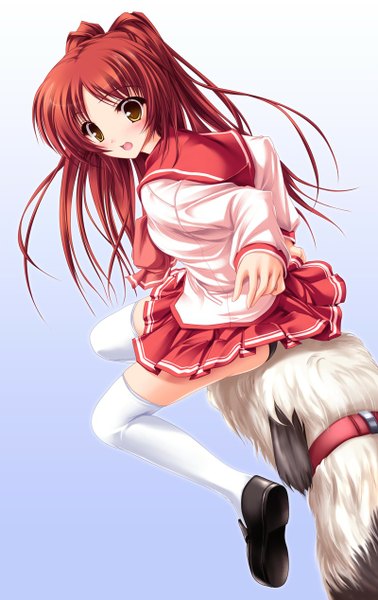 Anime picture 800x1267 with to heart 2 leaf (studio) kousaka tamaki tenmaso long hair tall image blush open mouth light erotic brown eyes red hair girl thighhighs skirt uniform school uniform animal white thighhighs shoes dog