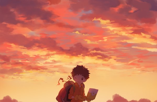 Anime picture 1226x800 with digimon digimon adventure izumi koushirou tentomon rella single short hair brown hair brown eyes looking away sky cloud (clouds) one eye closed wink evening sunset boy gloves animal backpack