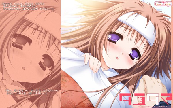 Anime picture 1920x1200 with tayutama lump of sugar mito mashiro moekibara fumitake blush highres wide image