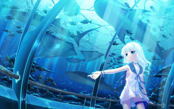 Anime picture 1280x800 with original hinasaki you blue eyes wide image blue hair uniform school uniform water serafuku bracelet jewelry fish (fishes) aquarium manta ray