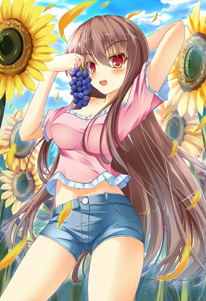 Anime picture 687x1000 with original takataka single long hair tall image blush open mouth red eyes brown hair girl flower (flowers) petals food shorts berry (berries) sunflower grapes