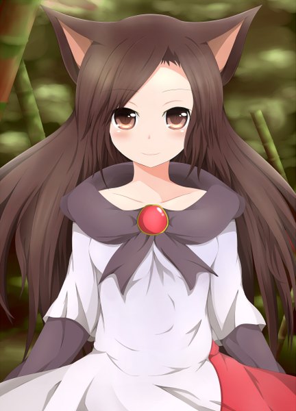 Anime picture 1802x2500 with touhou imaizumi kagerou masa masa single long hair tall image looking at viewer highres black hair brown eyes animal ears girl dress