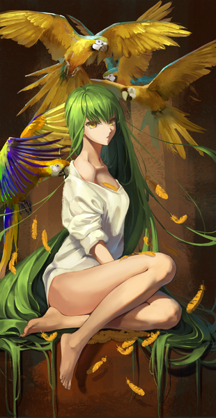Anime picture 1000x1932 with code geass sunrise (studio) c.c. qinshou single tall image looking at viewer fringe sitting bare shoulders yellow eyes very long hair green hair bare legs legs girl animal bird (birds) feather (feathers) toes